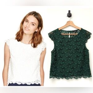 Aritzia Talula Portobello Lace Cap Sleeve Blouse